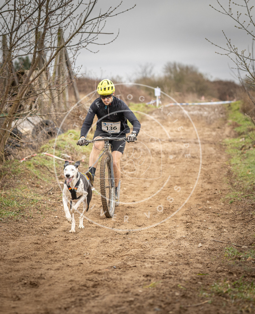 DV3A1325 | Hundefotografie, Tierfotograf, Pfotenfotografie, Fotoshooting Hund, Hunde Portrait, Hundesport, Hundeportraits, Heideshooting, Hunde, Sportfotograf, Hundefotograf, Turnierhundsport, THS,  - Realisiert mit Pictrs.com