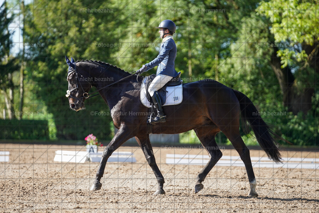 20240519-FAH04386 | Turnierbilder Niederseeon 2024, Vielseitigkeitsdressur, Reitsportbilder aus dem Landkreit Ebersberg, Gut Steinsee, RC Steinsee, Fotoagentur Herrmann