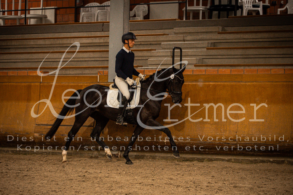 1Reiten00152 | Leoni Ertmer Photography - Realisiert mit Pictrs.com