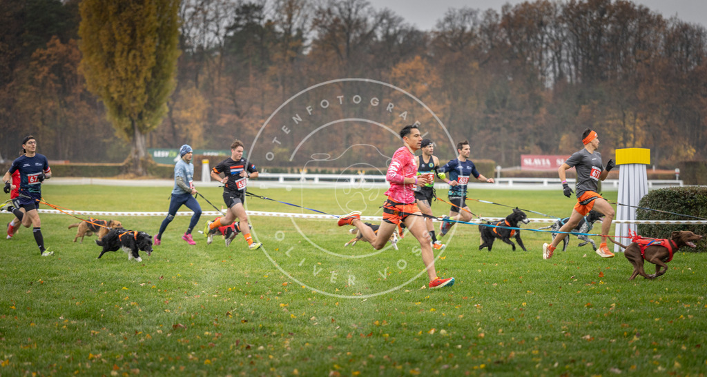 CaniXpix_DV3A9511 | Hundefotografie, Tierfotograf, Pfotenfotografie, Fotoshooting Hund, Hunde Portrait, Hundesport, Hundeportraits, Heideshooting, Hunde, Sportfotograf, Hundefotograf, Turnierhundsport, THS,  - Realisiert mit Pictrs.com
