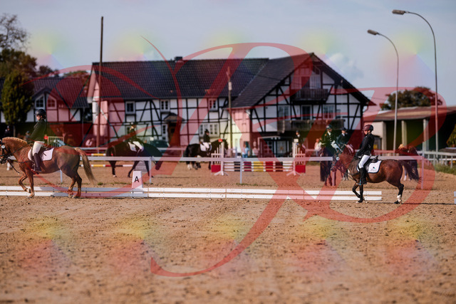 2026_10_03_Siefer-Hof_122024_Z81_20494190 | Professionelle Reitsport-, Turnier- und Eventfotografie von Robert Broda. Galerien mit ausgewählten und bearbeiteten Bildern direkt online ansehen und bestellen.