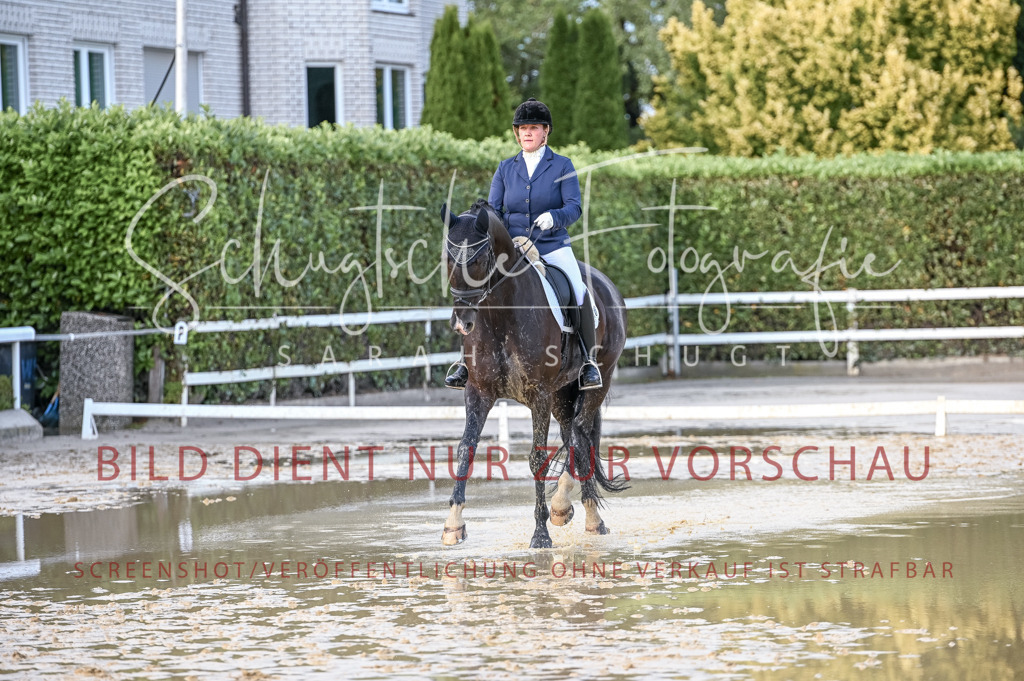 Schugtsche-Aluta25-54.Dressurprf.L1Trense-319 | Schugtsche Fotografie - Realisiert mit Pictrs.com