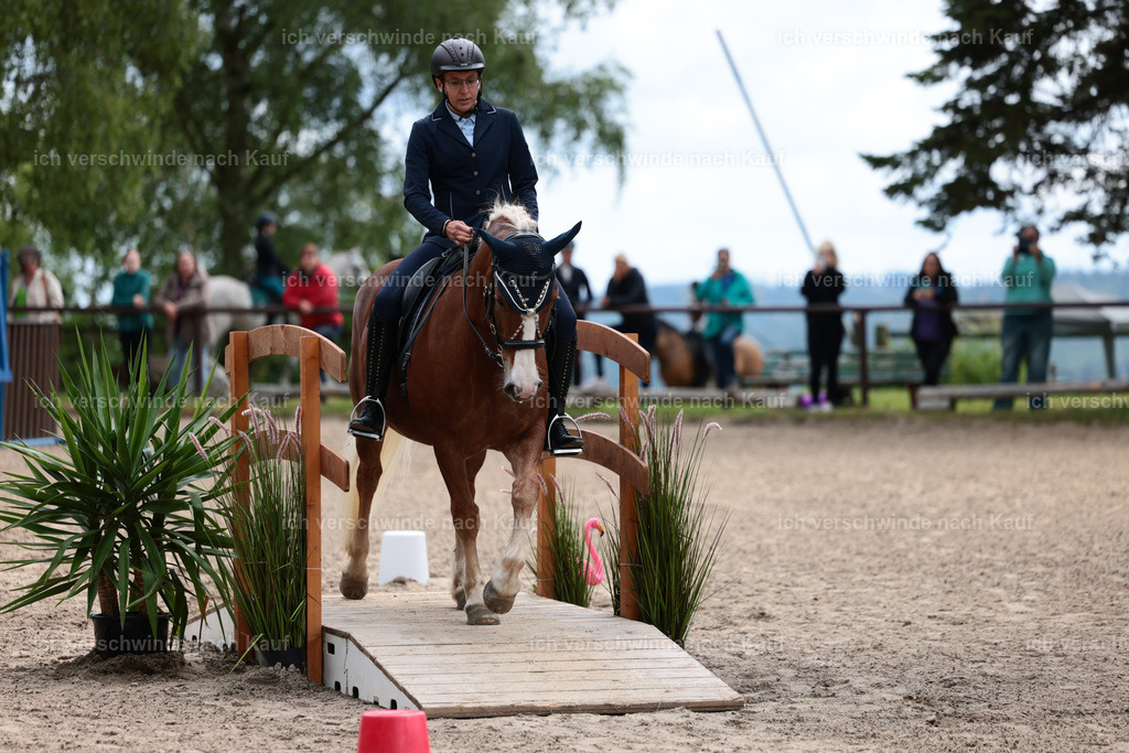 KlasseE_Stoibphotography_CAM22071.JPG | working equitationturnier fotograf videograf stoibphotography marixx film working equitation deutschland reitsport turnierfotografie eventfotografie equestrian events