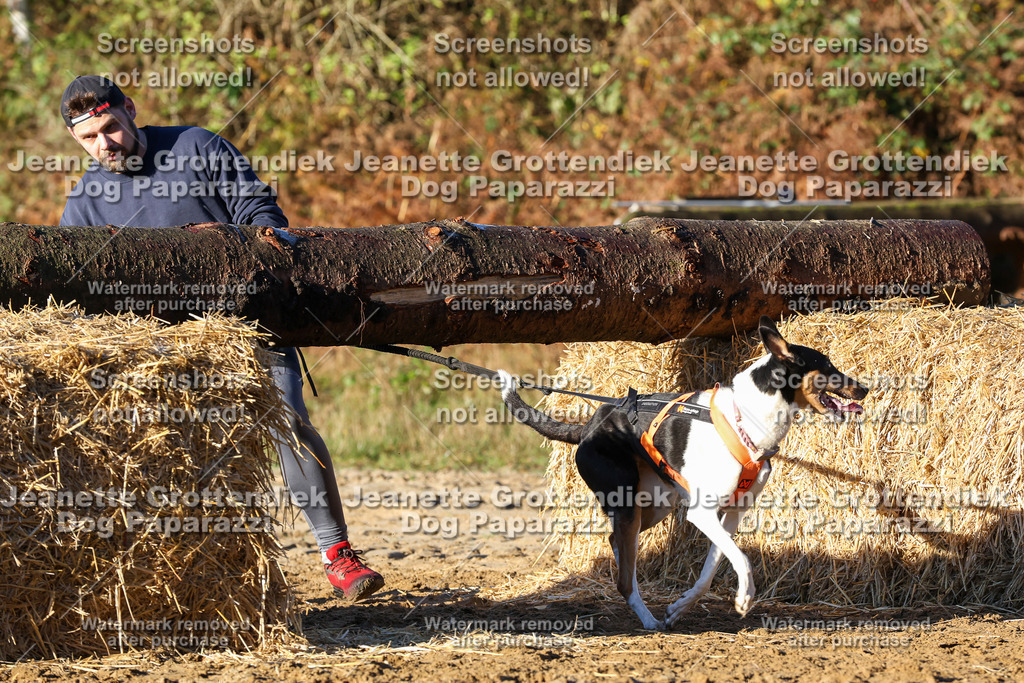 Dog Paparazzi - Strongdog 10-25-1096 | Dog Paparazzi Jeanette Grottendiek Fotografie & Videografie - Realisiert mit Pictrs.com
