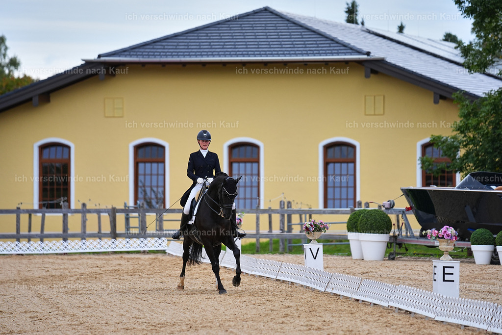 8_1-077-Klasse S_  -Marixx-4067 | working equitationturnier fotograf videograf stoibphotography marixx film working equitation deutschland reitsport turnierfotografie eventfotografie equestrian events
