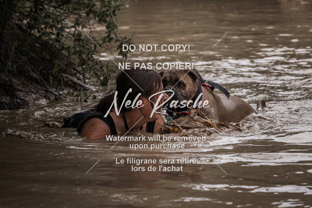 nelerasche_Hoope2026_So1200-1245_157 | nelerasche