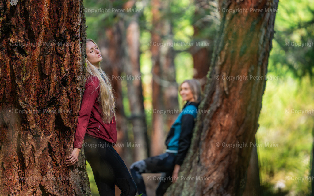Dorfertal_Erlebnisraum_Wald_23_Peter_Maier-1595 | piet_flosse