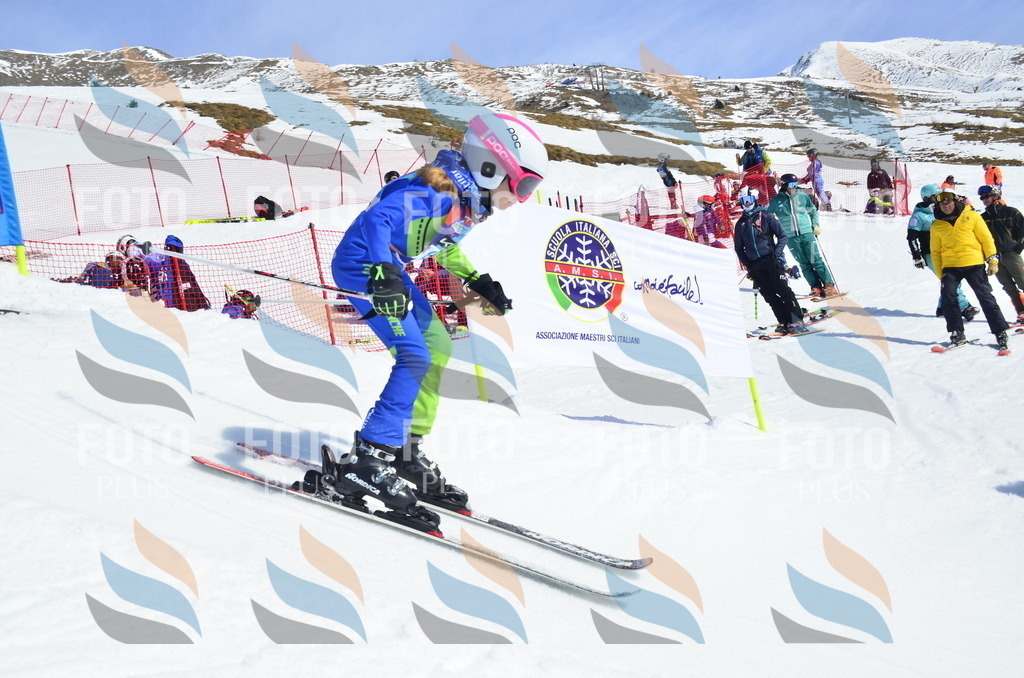 _ELE1122 | holidayphoto