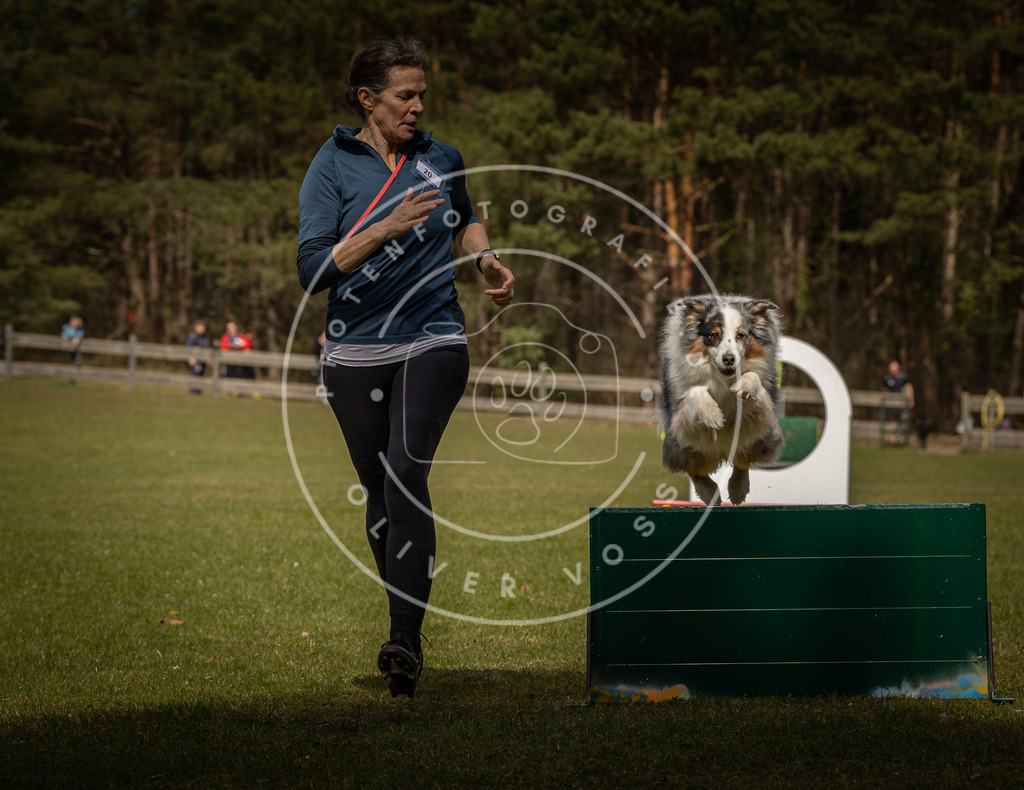 Pfotenfotografie_DV3A5257 | Hundefotografie, Tierfotograf, Pfotenfotografie, Fotoshooting Hund, Hunde Portrait, Hundesport, Hundeportraits, Heideshooting, Hunde, Sportfotograf, Hundefotograf, Turnierhundsport, THS,  - Realisiert mit Pictrs.com