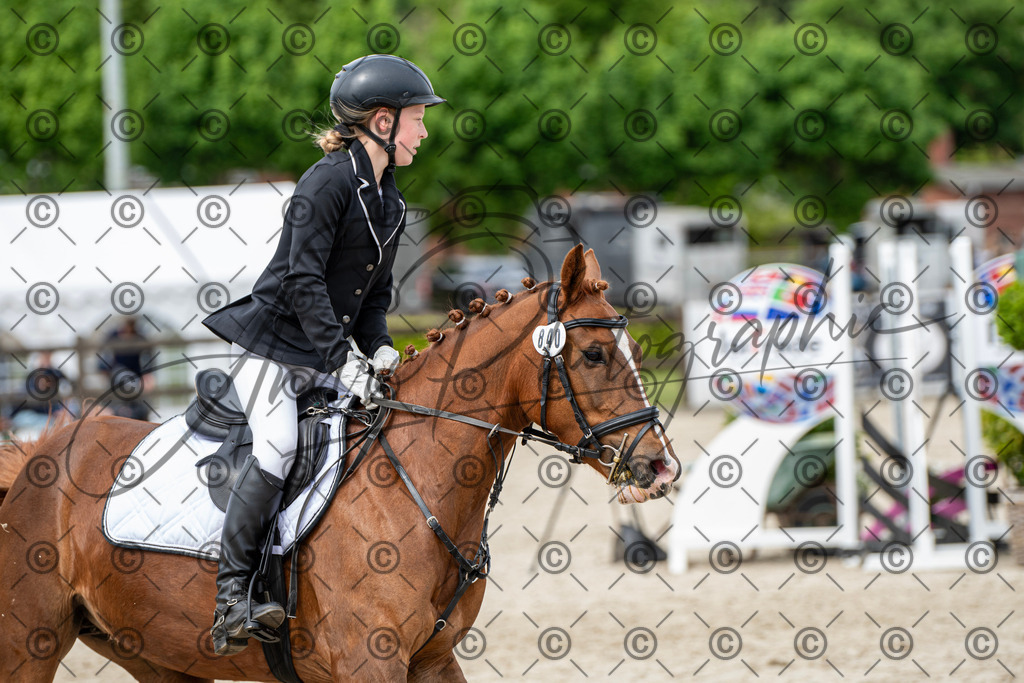 KPT_5952 | andre_photographic