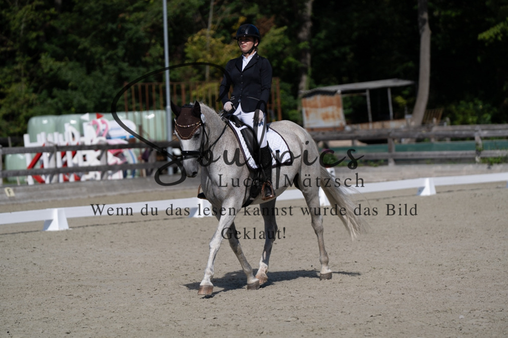 A7V07053 | Pferdefotograf