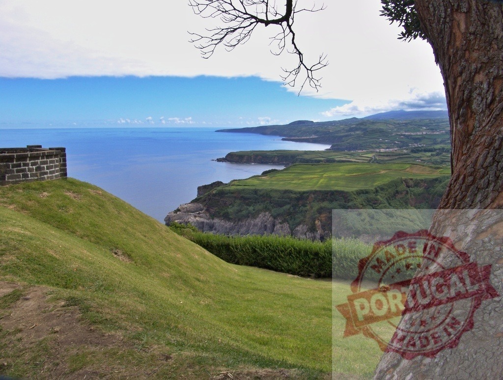 Azores coastline view from a viewpoint in São Miguel | Coastal landscape with green fields, ocean, cliffs, and a tree from a panoramic viewpoint - Realisiert mit Pictrs.com