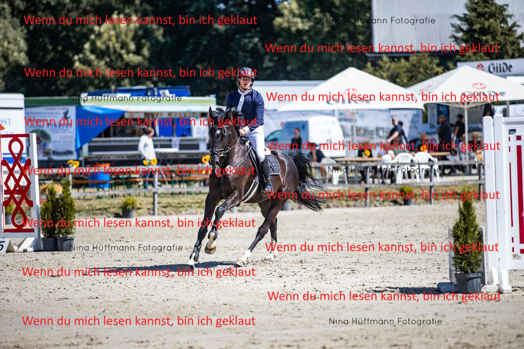 BK1A5475 | Turnierbilder Turnierfotos Nina Hüffmann Turnierfotografie Pferdefotografie Tierzeichnung Haustierzeichnung Pferdezeichnung Hundezeichnung Videograf  - Realisiert mit Pictrs.com