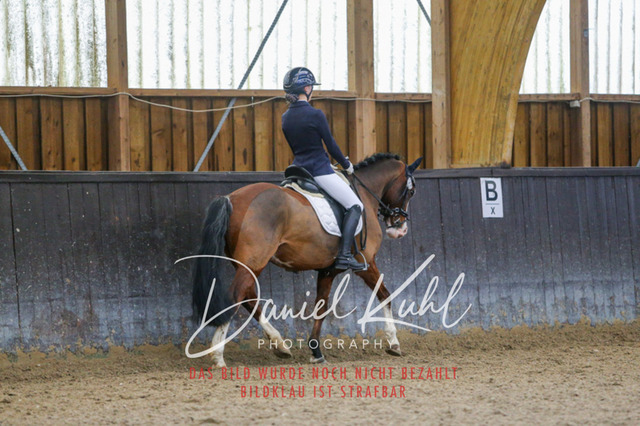 IMG_0667 | Turniersportfotografie; Pferdefotografie; Dressurfotografie