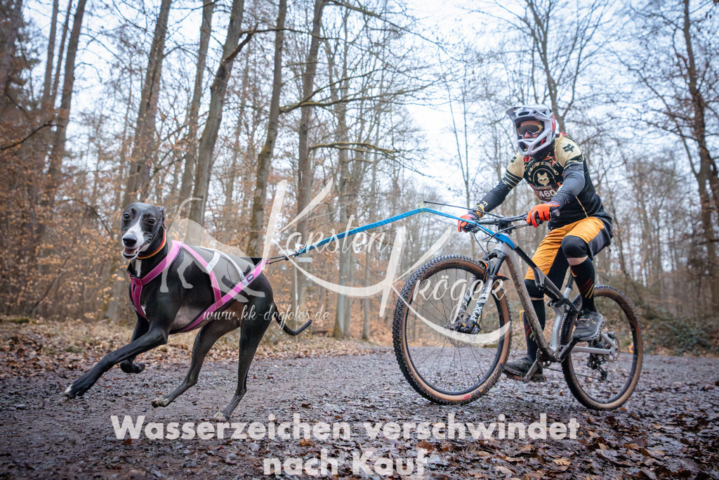 0832_ZZ94673 | kk-dogfotos