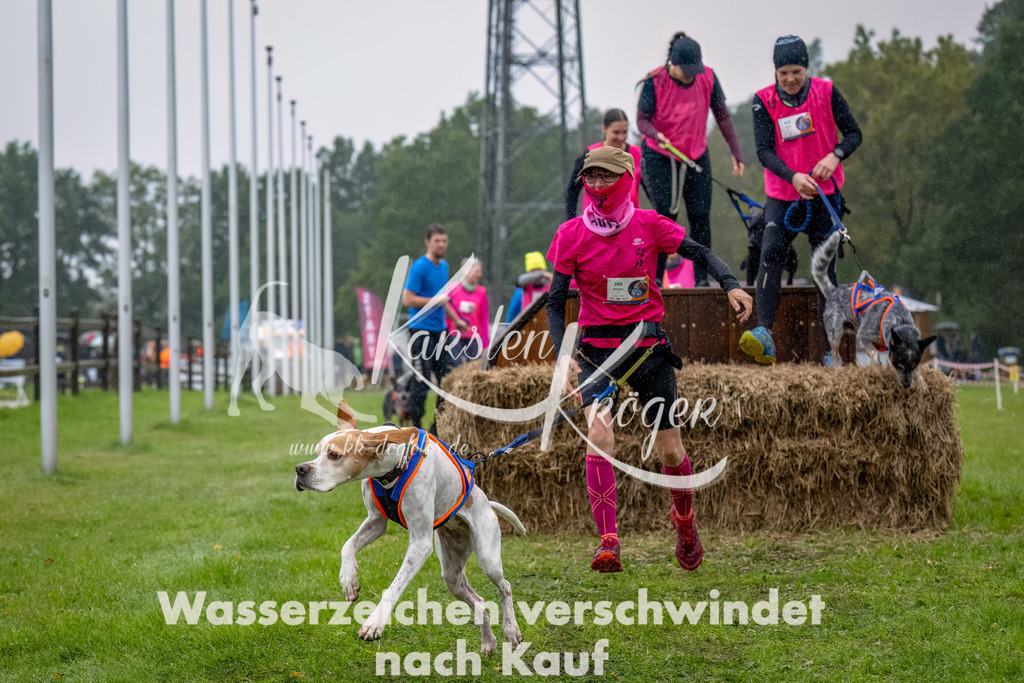 1005--14 | kk-dogfotos