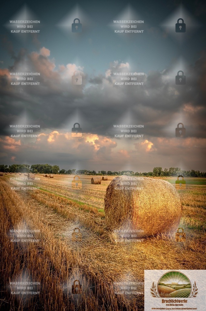 Erntebruch | Professioneller Fotograf mit 10 Jahren Erfahrung. Landschafts- und Hochzeitsfotografie im Oderbruch. Workshops und beeindruckende Bilder für besondere Momente.