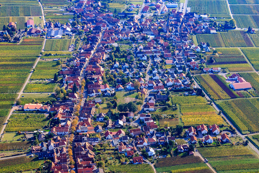 Luftbild: Winzerdorf am Haardtrand aus Westen in Rhodt unter Rietburg im Bundesland Rheinland-Pfalz in Deutschland. Foto: IMG_22178.jpg vom 15.10.2009 durch Werner Riehm/FLY-FOTO.de
