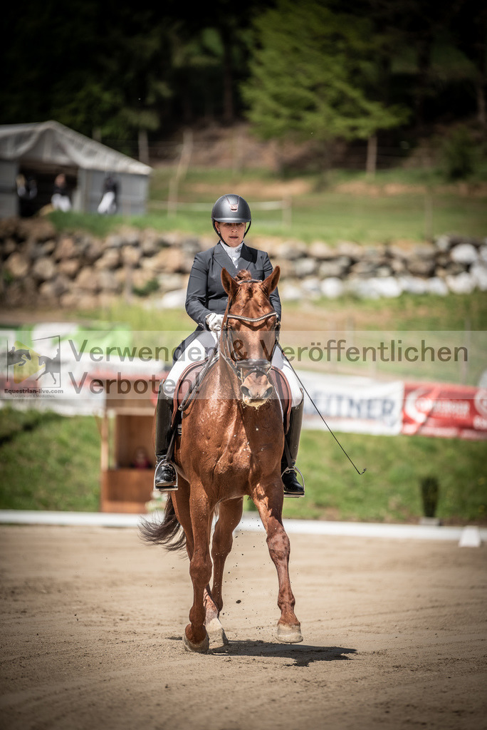 DSC_1457 | equestrian-live-com
