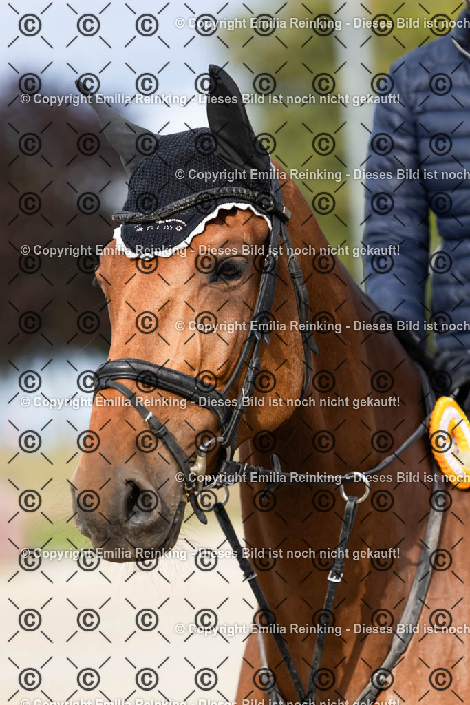 CL5A0200 | Emilia Reinking Fotografie - Realisiert mit Pictrs.com