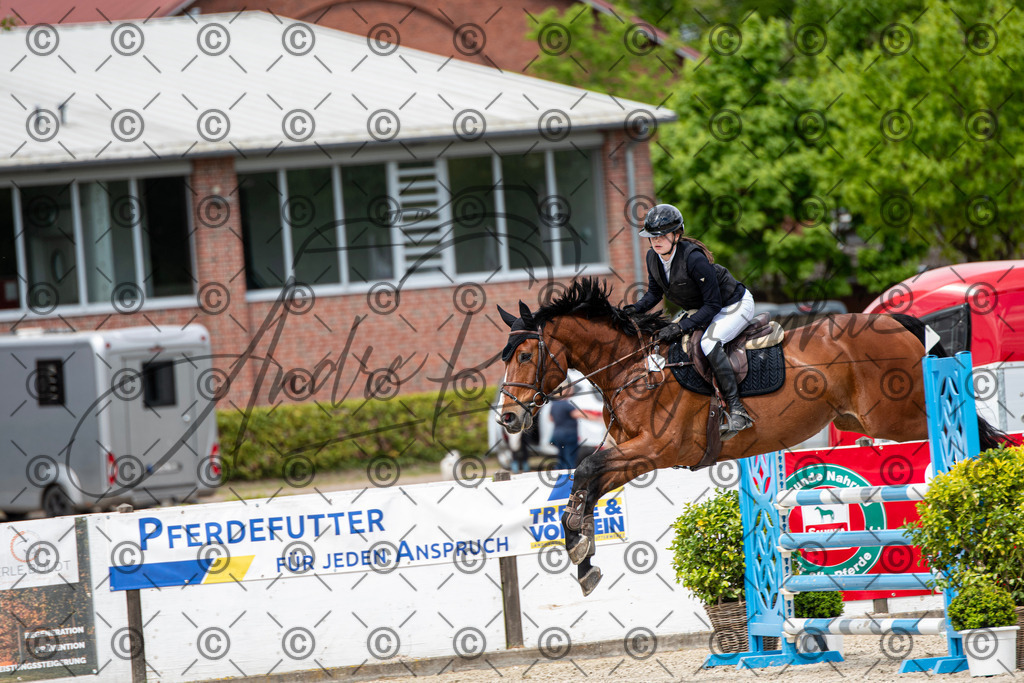 KPT_5717 | andre_photographic