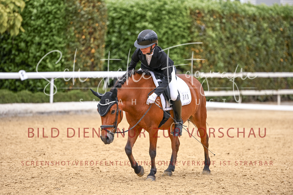 Schugtsche-Aluta25-44.DresssurreiterWB-332 | Schugtsche Fotografie - Realisiert mit Pictrs.com