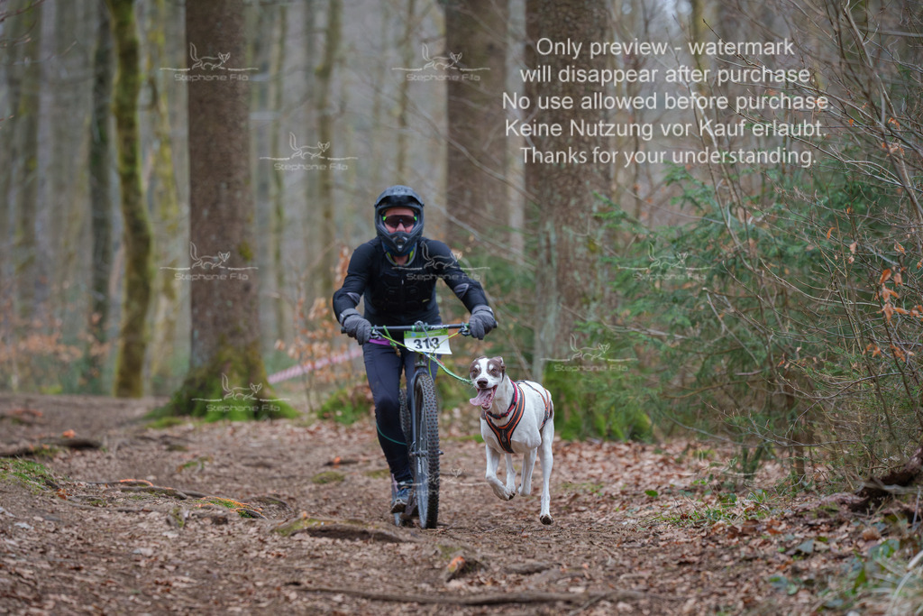 Scooter_So-116 | stephaniefillaphotographie - Realisiert mit Pictrs.com