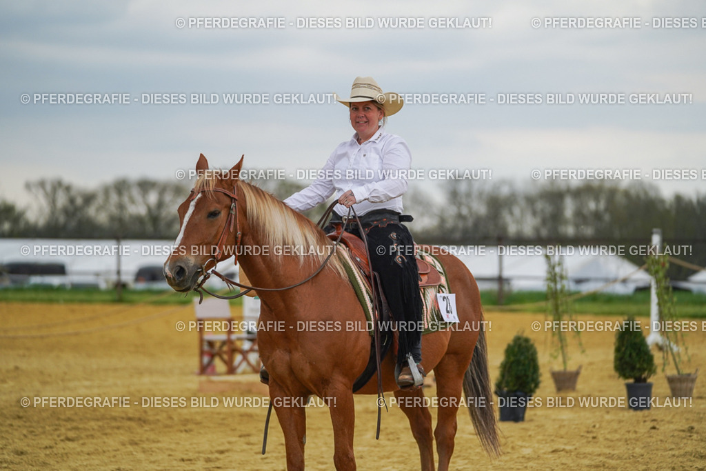 DSC08313 | Pferdegrafie