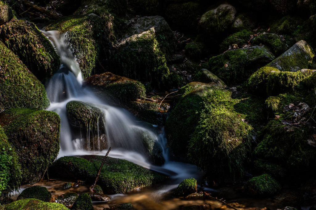 IMG_2111 | ehrlichefotos - Realisiert mit Pictrs.com