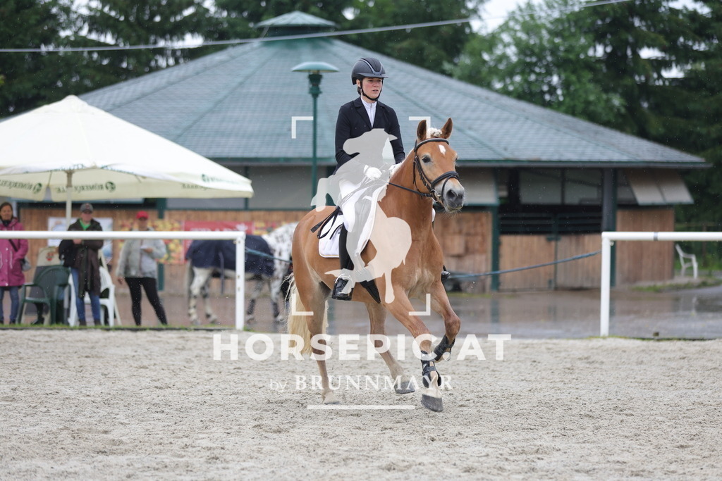 0P6A7963 | Willkommen bei Brunnmayr - Design & Fotografie – Ihrem Spezialisten für Reitturniere und Pferdeveranstaltungen in Oberösterreich, Salzburg und Bayern! Seit über 17 Jahren sind wir leidenschaftlich dabei.