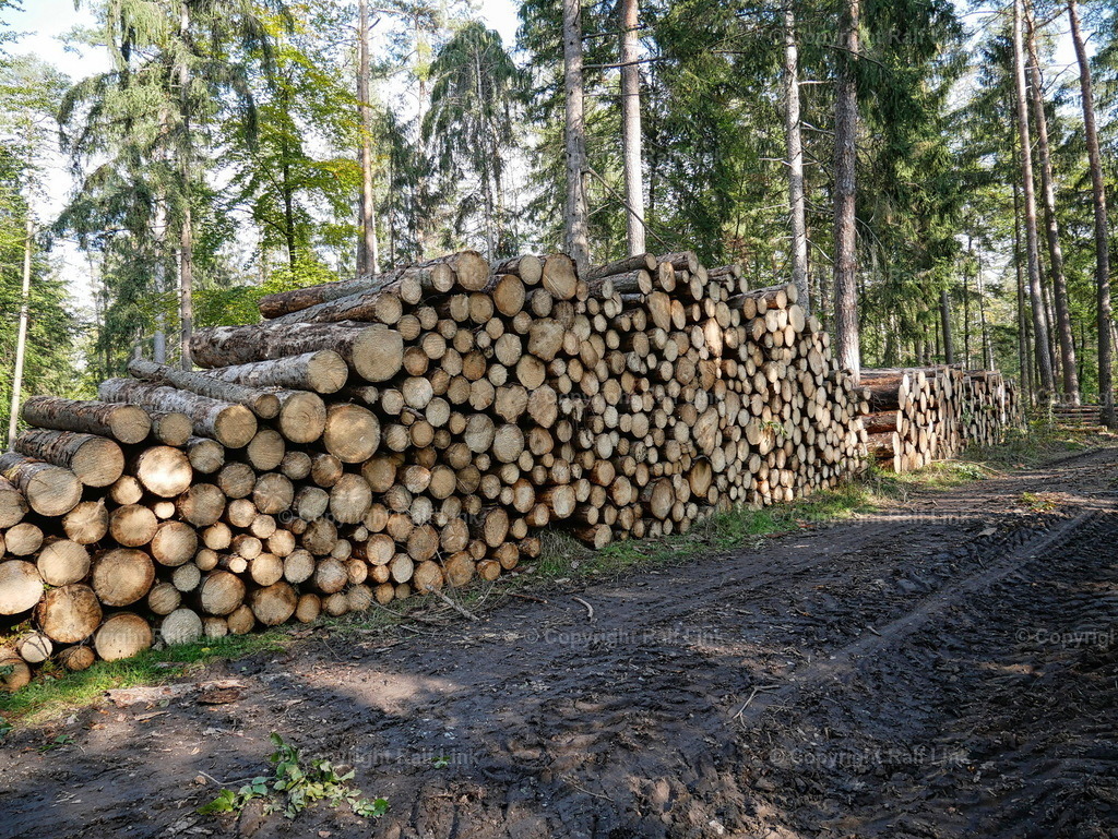 P1000511 | Stockfotos, Fotos mit Miniaturfiguren und kreativen Ideen. Dabei auch vieles aus der Metropolregion Rhein-Neckar. 