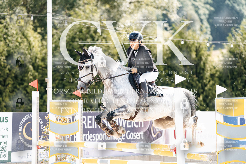 CK908213 | Turnierfotografie Pferdefotografie Trier Rheinland-Pfalz Pferdesport Reitsport Tierfotografie Sportfotografie Pferdevideo Pferdevideografie Equestrianvideography equestrianphotography  - Realisiert mit Pictrs.com