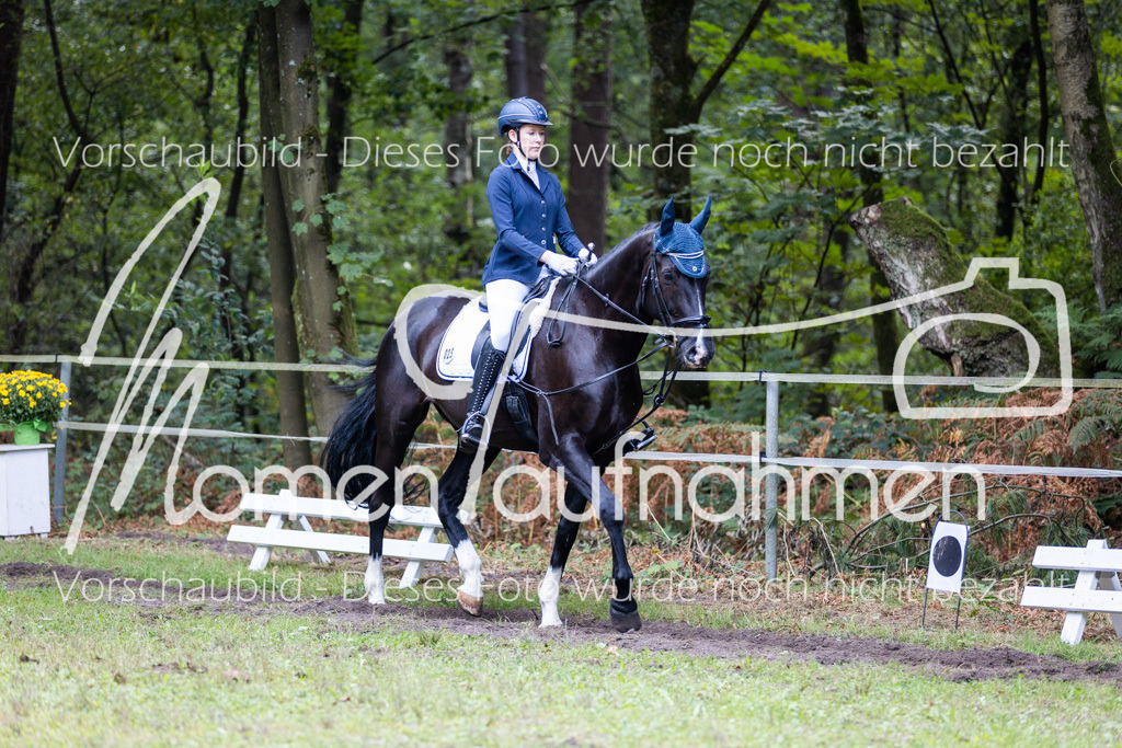 HB-Dressur-WB-101 | MomenTaufnahmen Pferdesportfotos