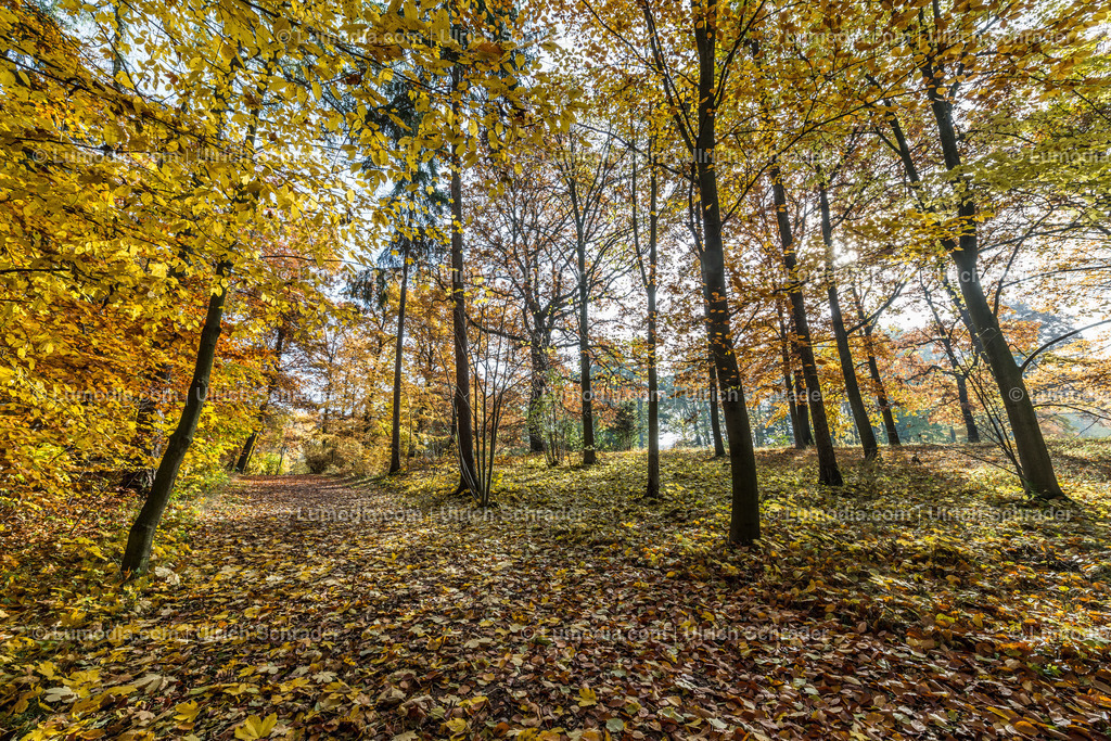 10049-4579 - Landschaftspark Degenershausen | Stockfoto und Bilderpool mit Bildmaterial aus Deutschland, dem Harz, Halberstadt, Quedlinburg, Wernigerode und weltweit. Qualitativ hochwertige und professionelle Fotos anschauen und kaufen. - Realisiert mit Pictrs.com