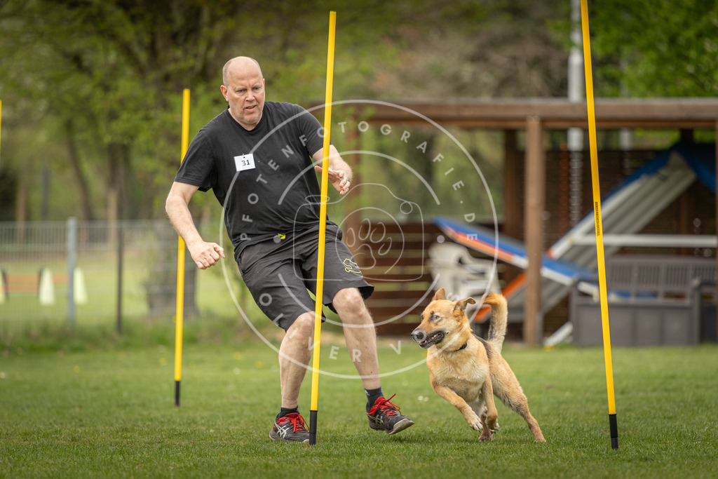 Pfotenfotografie_DV3A2195 | Hundefotografie, Tierfotograf, Pfotenfotografie, Fotoshooting Hund, Hunde Portrait, Hundesport, Hundeportraits, Heideshooting, Hunde, Sportfotograf, Hundefotograf, Turnierhundsport, THS,  - Realisiert mit Pictrs.com