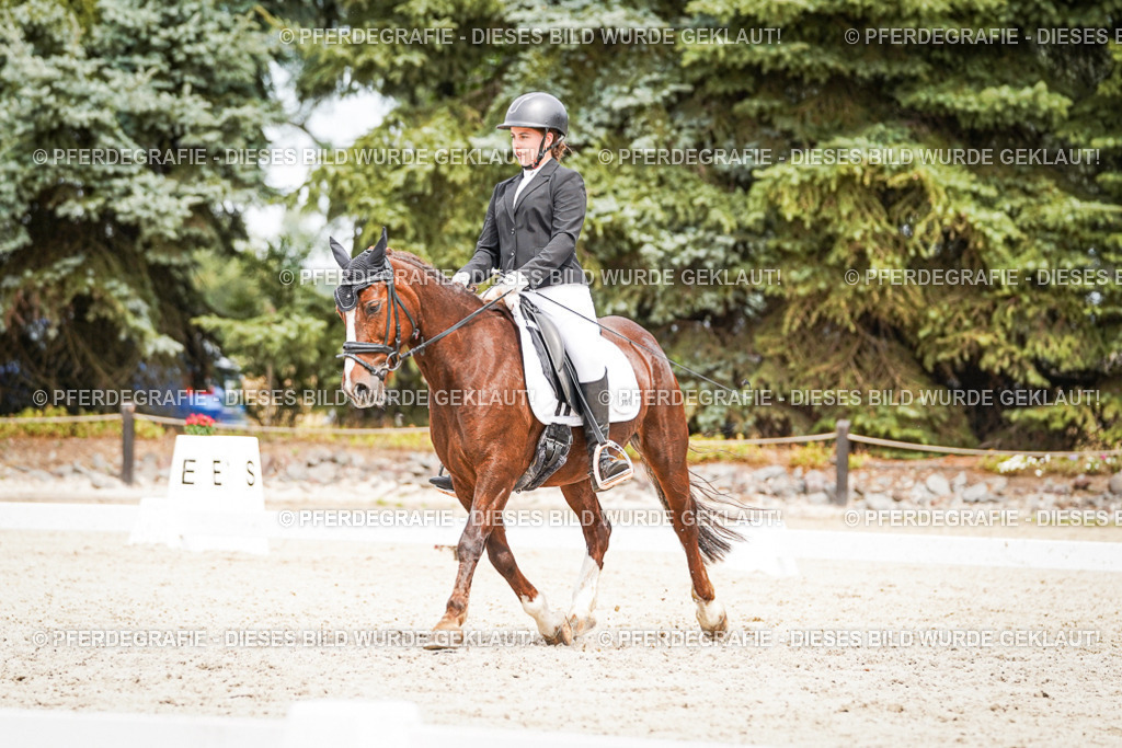 DSC04378 | Pferdegrafie