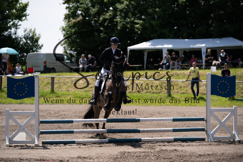 A7V04419 | Pferdefotograf