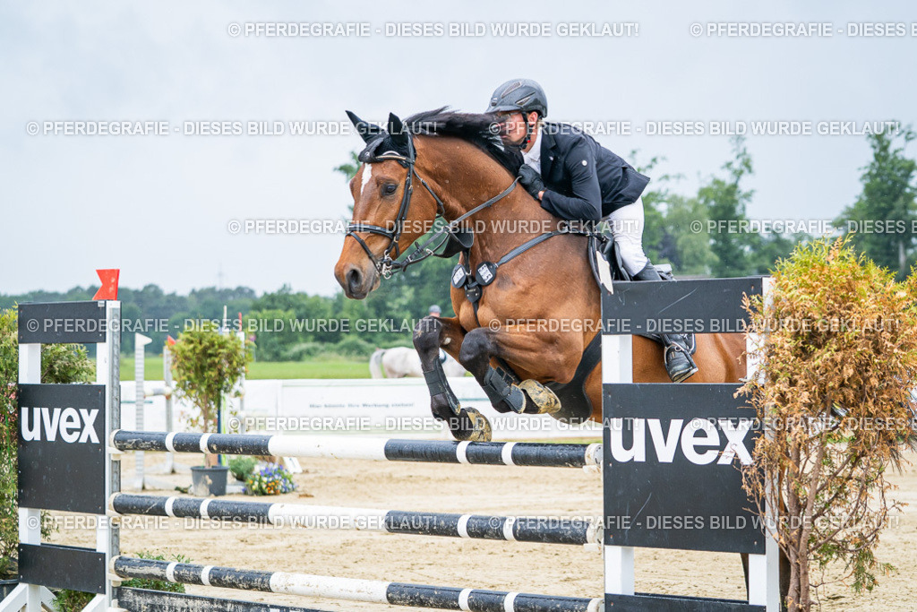 DSC01791 | Pferdegrafie