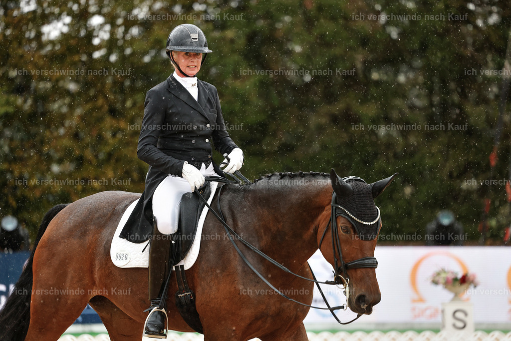 8_1-020-Klasse S_  -StoibPH-4001 | working equitationturnier fotograf videograf stoibphotography marixx film working equitation deutschland reitsport turnierfotografie eventfotografie equestrian events