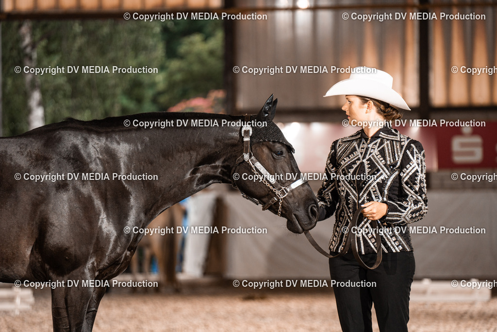 ZH200183 | dv-media-shop - Realisiert mit Pictrs.com