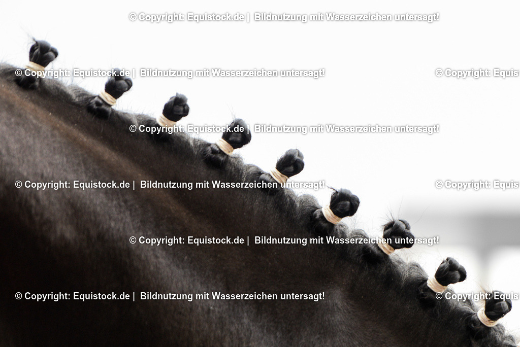 TS_20161118_Eingeflochtene_M__hne_0001 | Foto: Thomas Hartig