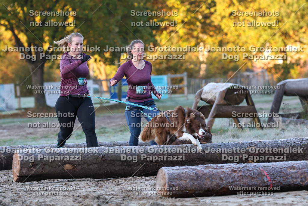 Dog Paparazzi - Strongdog 10-25-228 | Dog Paparazzi Jeanette Grottendiek Fotografie & Videografie - Realisiert mit Pictrs.com