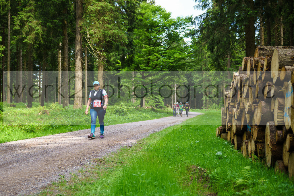 Rennsteiglauf 2018 | Neuhaus/Rwg. - Schmiedefeld am 26. Mai 2018