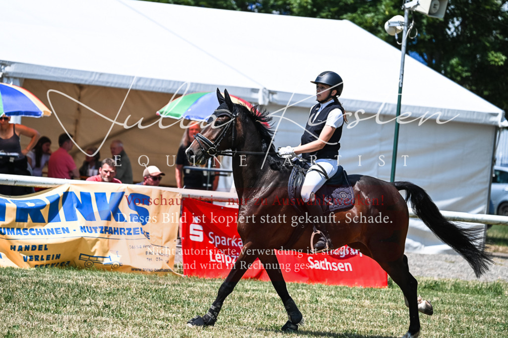 DSC_9993 | Pferde- und Turnierfotografie in Westsachsen. Pferdeportraits, Auftragszeichnungen und intuitive Kunst.