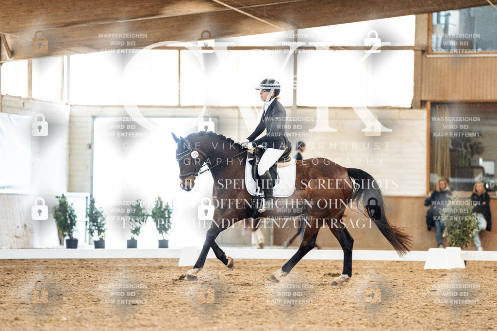 CK908428 | Turnierfotografie Pferdefotografie Trier Rheinland-Pfalz Pferdesport Reitsport Tierfotografie Sportfotografie Pferdevideo Pferdevideografie Equestrianvideography equestrianphotography  - Realisiert mit Pictrs.com