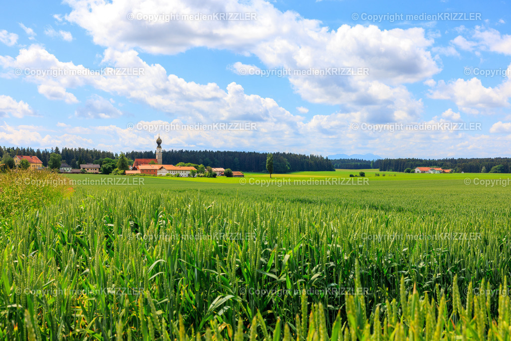 Oberfeldkirchen | medienkrizzler - Realisiert mit Pictrs.com