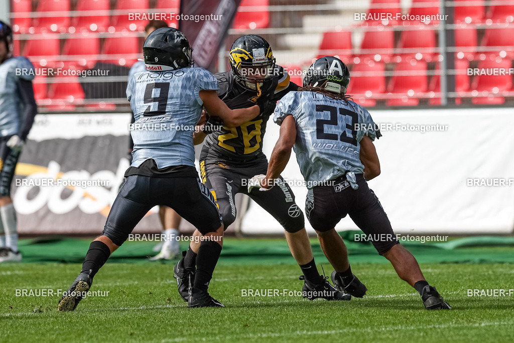 097_Ravens_20230827_1102 | BRAUER-Fotoagentur