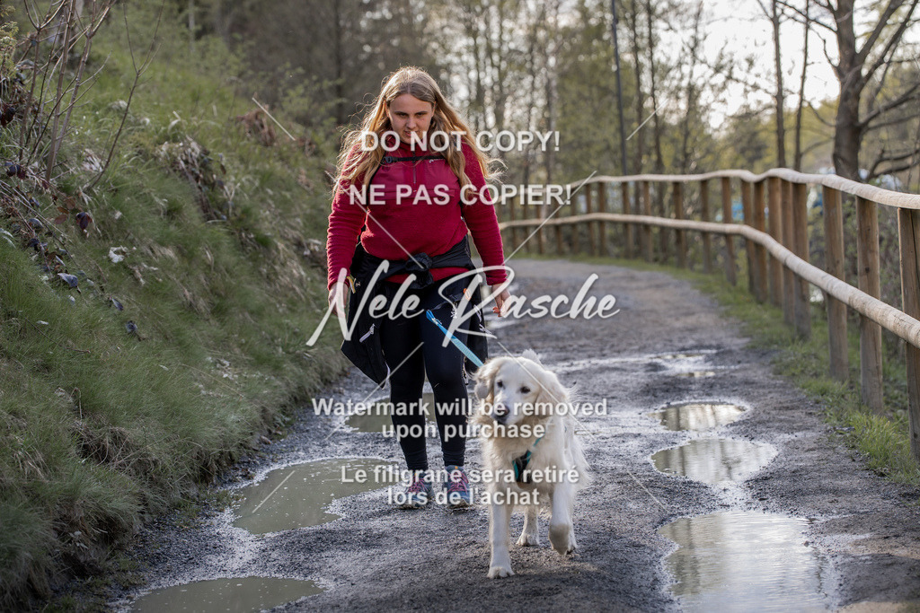 NR__1163 | nelerasche