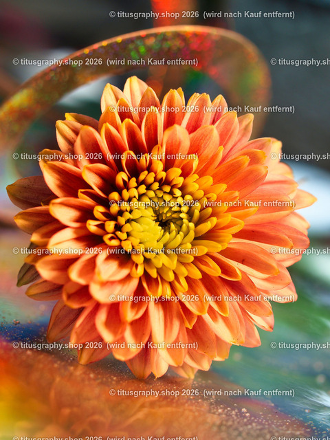titusgraphy_P7088758-vz-ln | titusgraphy-shop: Geschenkideen mit Qualitätsfotos. titusgraphy-shop: gift ideas with quality photos. titusgraphy-shop: idées cadeaux avec photos de qualité.  - Realisiert mit Pictrs.com