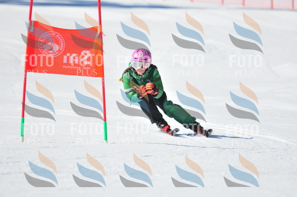 C3241 | holidayphoto